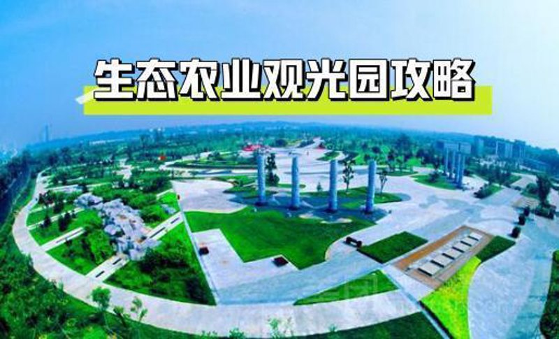 黄山农产品,一个熟悉而又充满魅力的名字。今天,我们就来盘点一下黄山的特色农产品,让你在家也能品尝到这片神奇土地上的美味。
